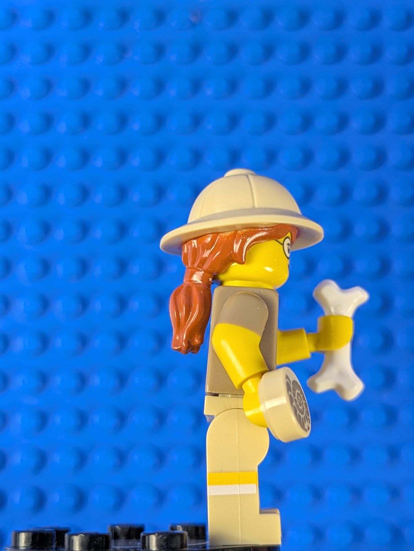 Lego Collectible Minifigures: Series 13: Paleontologist col200 Set 71008 6100808