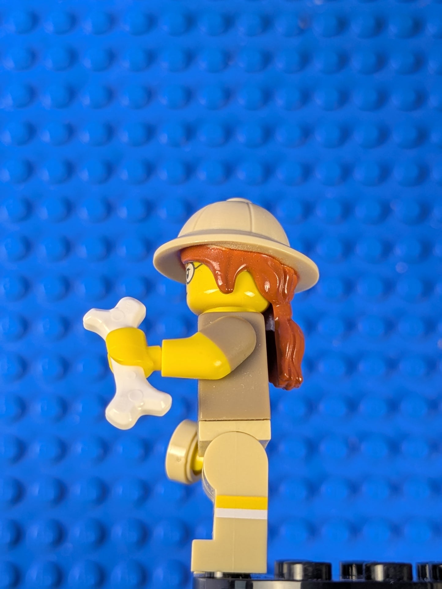 Lego Collectible Minifigures: Series 13: Paleontologist col200 Set 71008 6100808
