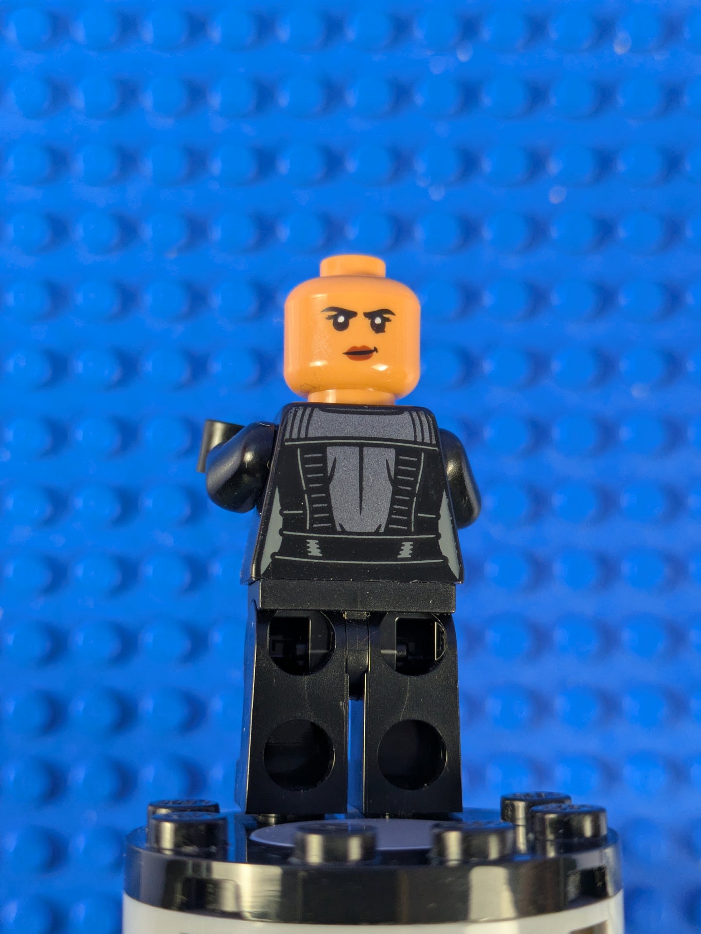 LEGO Super Heroes Selina Kyle sh0788 76183 76179
