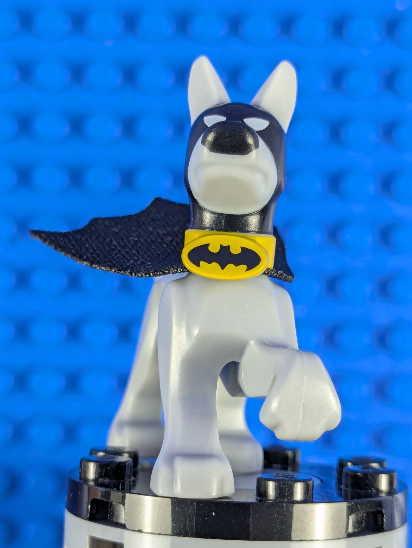 LEGO Super Heroes Ace the Bat-Hound - Dog 35033c02 76110