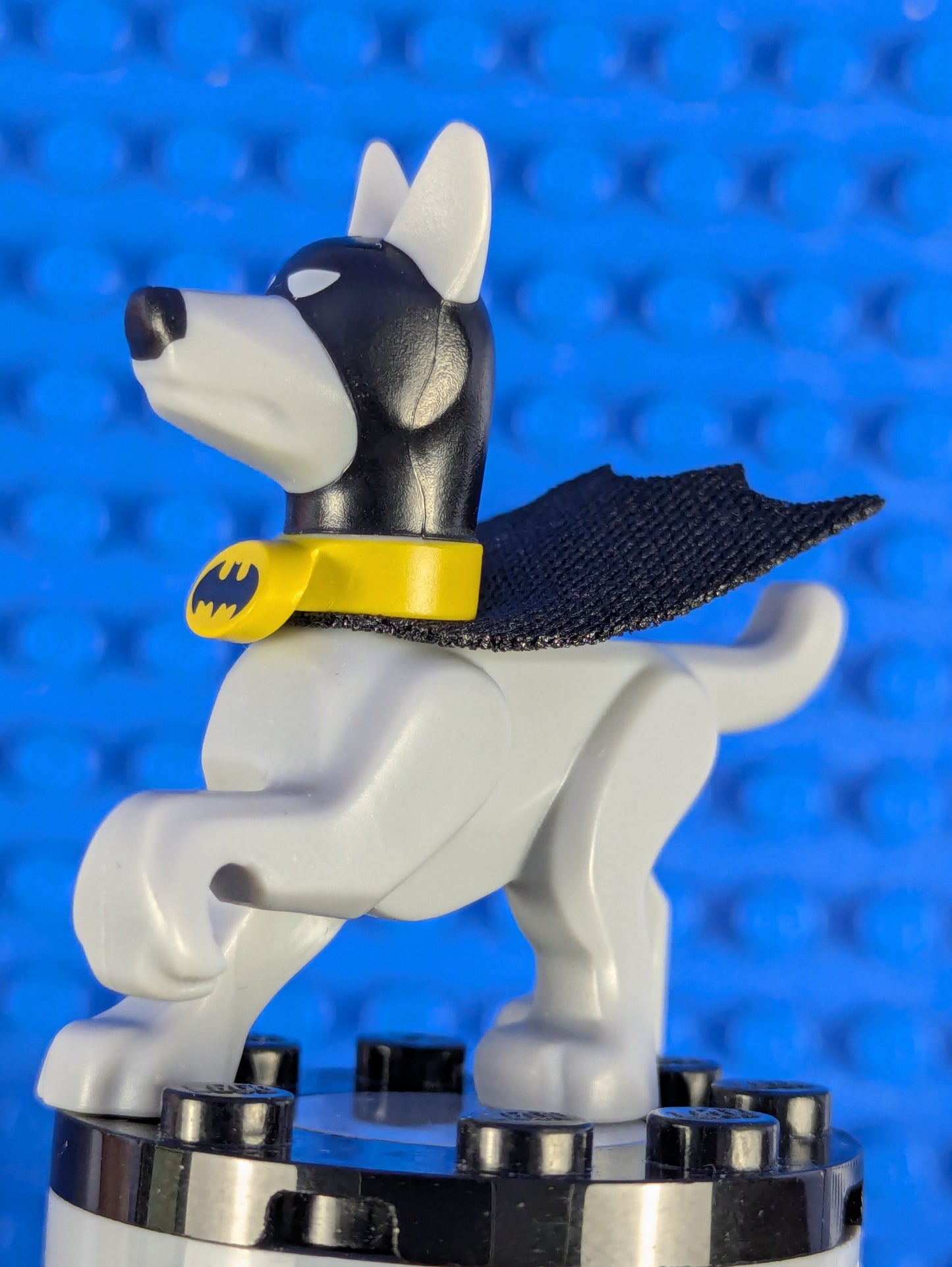 LEGO Super Heroes Ace the Bat-Hound - Dog 35033c02 76110
