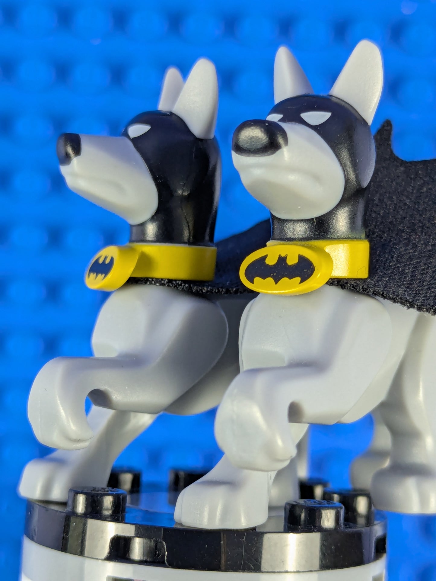 LEGO Super Heroes Ace the Bat-Hound - Dog 35033c02 76110