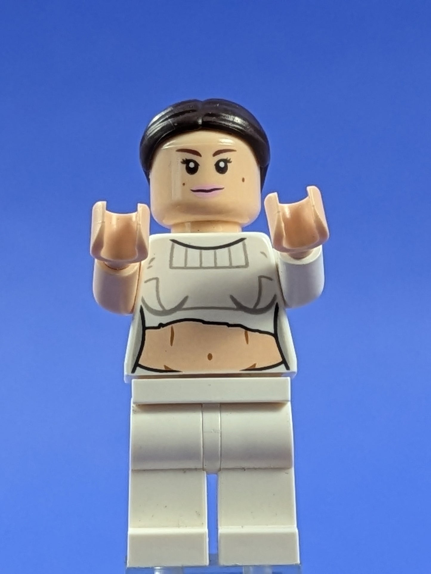 LEGO Star Wars Padmé Amidala - Geonosis Arena sw0490 75021
