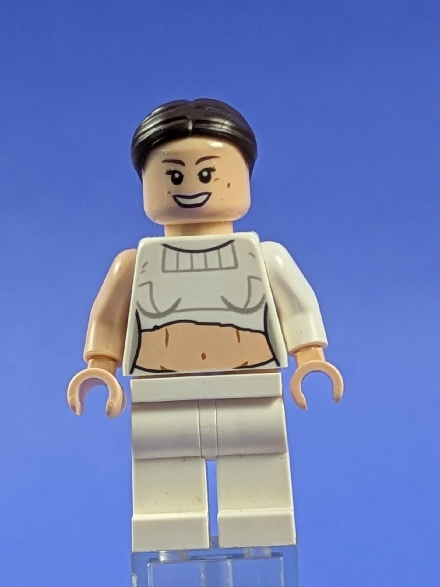 LEGO Star Wars Padmé Amidala - Geonosis Arena sw0490 75021