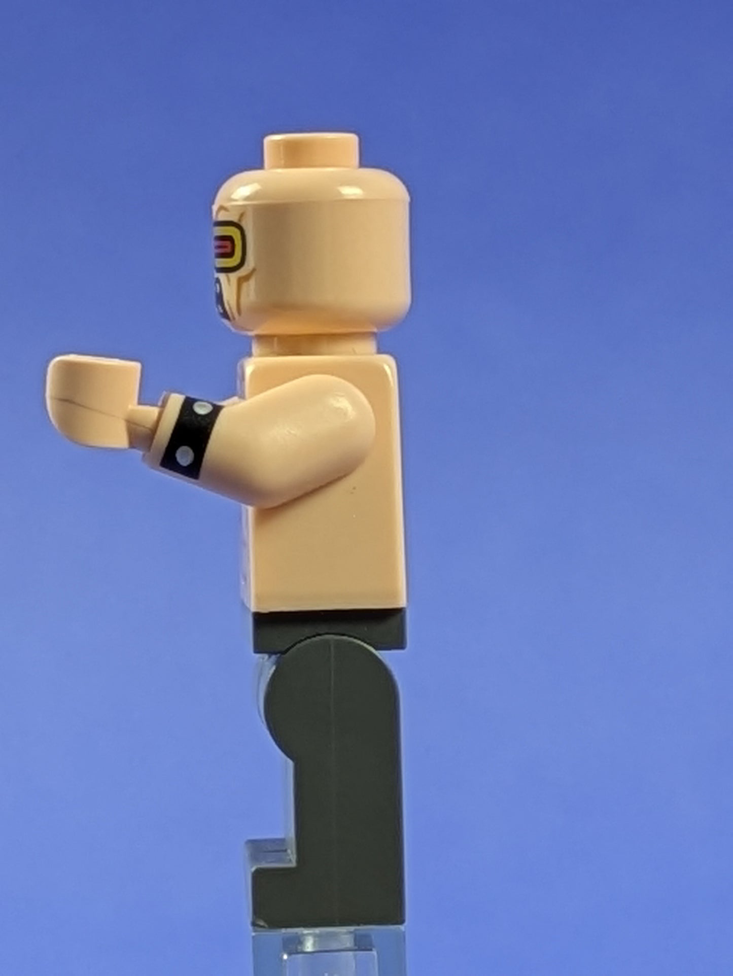 LEGO Super Heroes Mutant Leader sh0396 70914