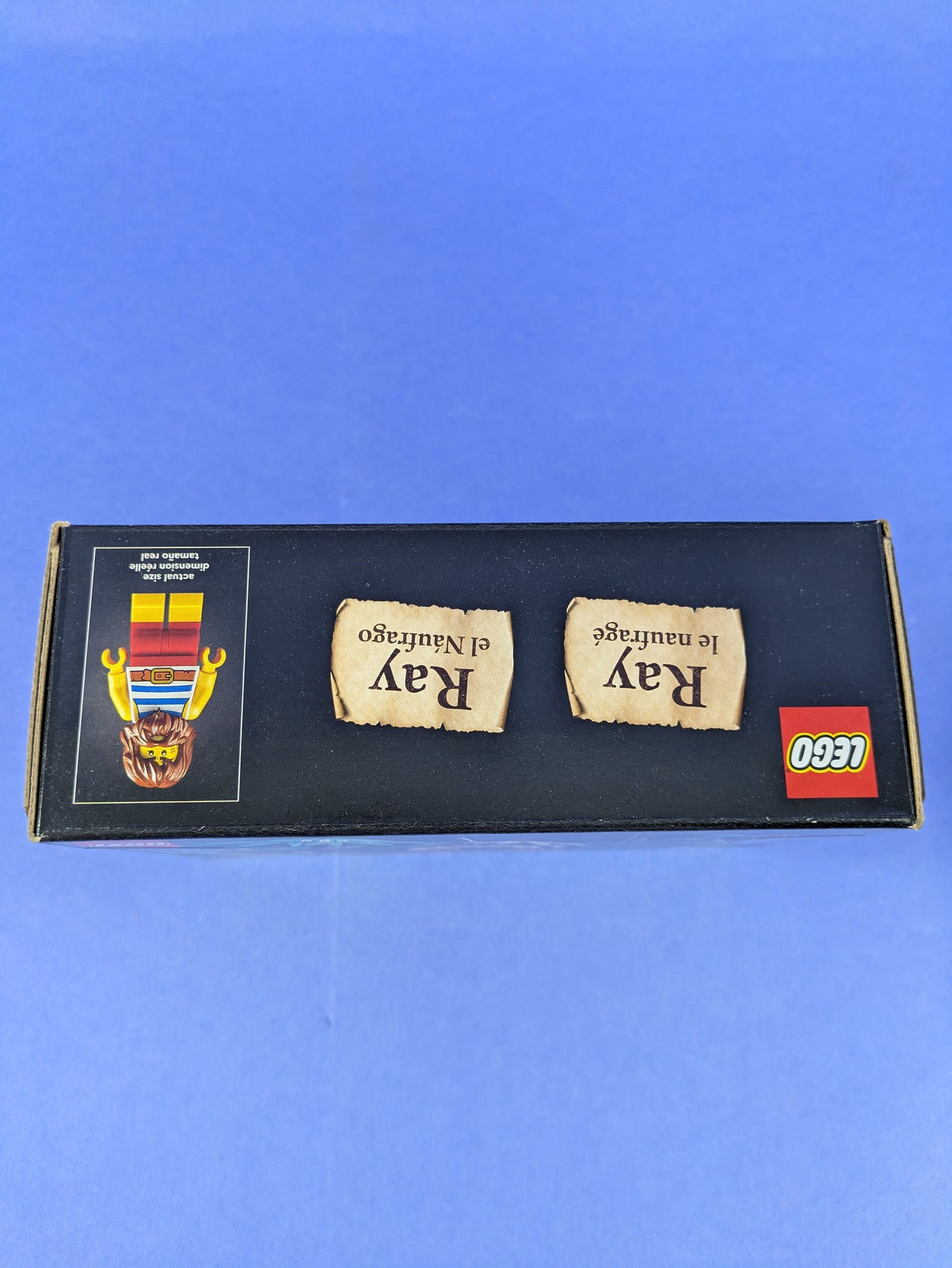 LEGO Ideas Ray the Castaway 40566