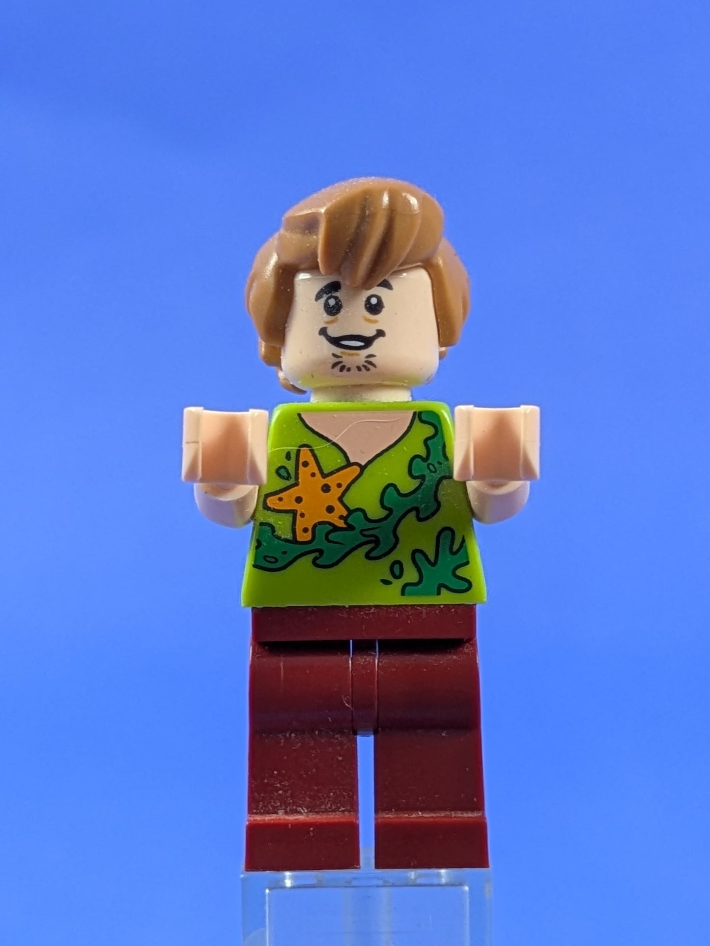 LEGO Shaggy Rogers - Seaweed and Starfish Shirt scd012 75903