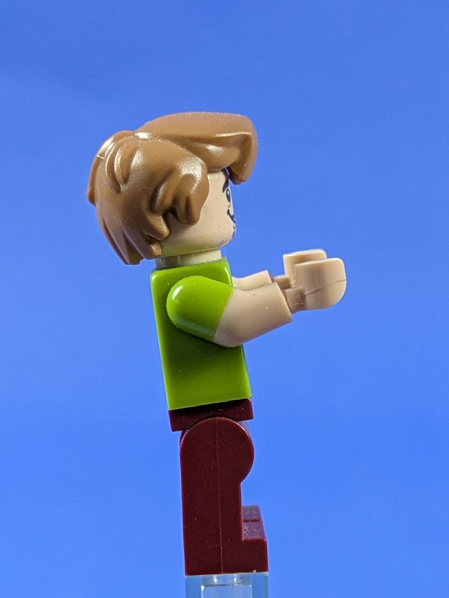 LEGO Shaggy Rogers - Seaweed and Starfish Shirt scd012 75903