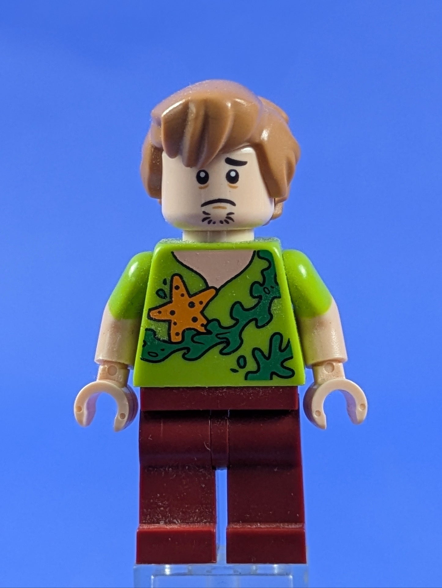 LEGO Shaggy Rogers - Seaweed and Starfish Shirt scd012 75903