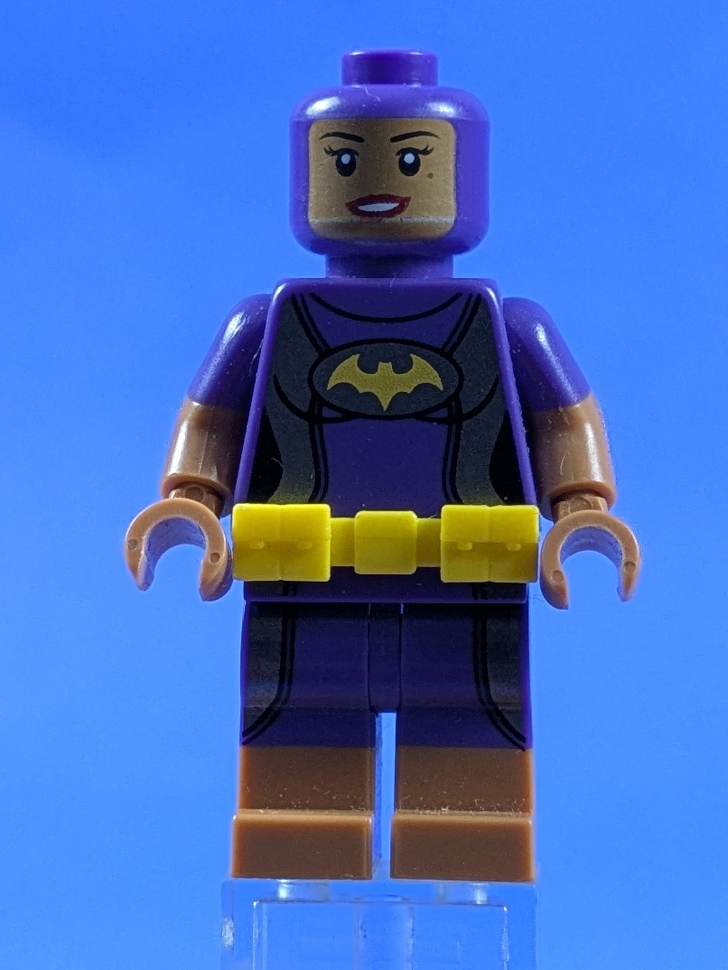 LEGO Super Heroes Vacation Batgirl coltlbm33 710206213821
