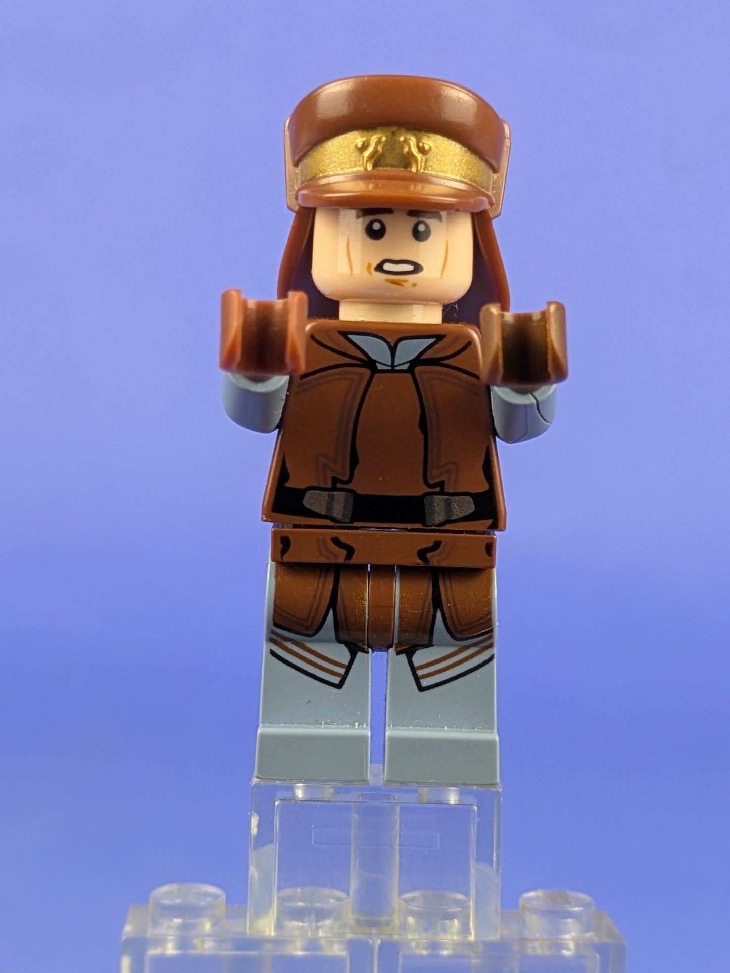 LEGO Star Wars Naboo Security Officer sw0638 75091