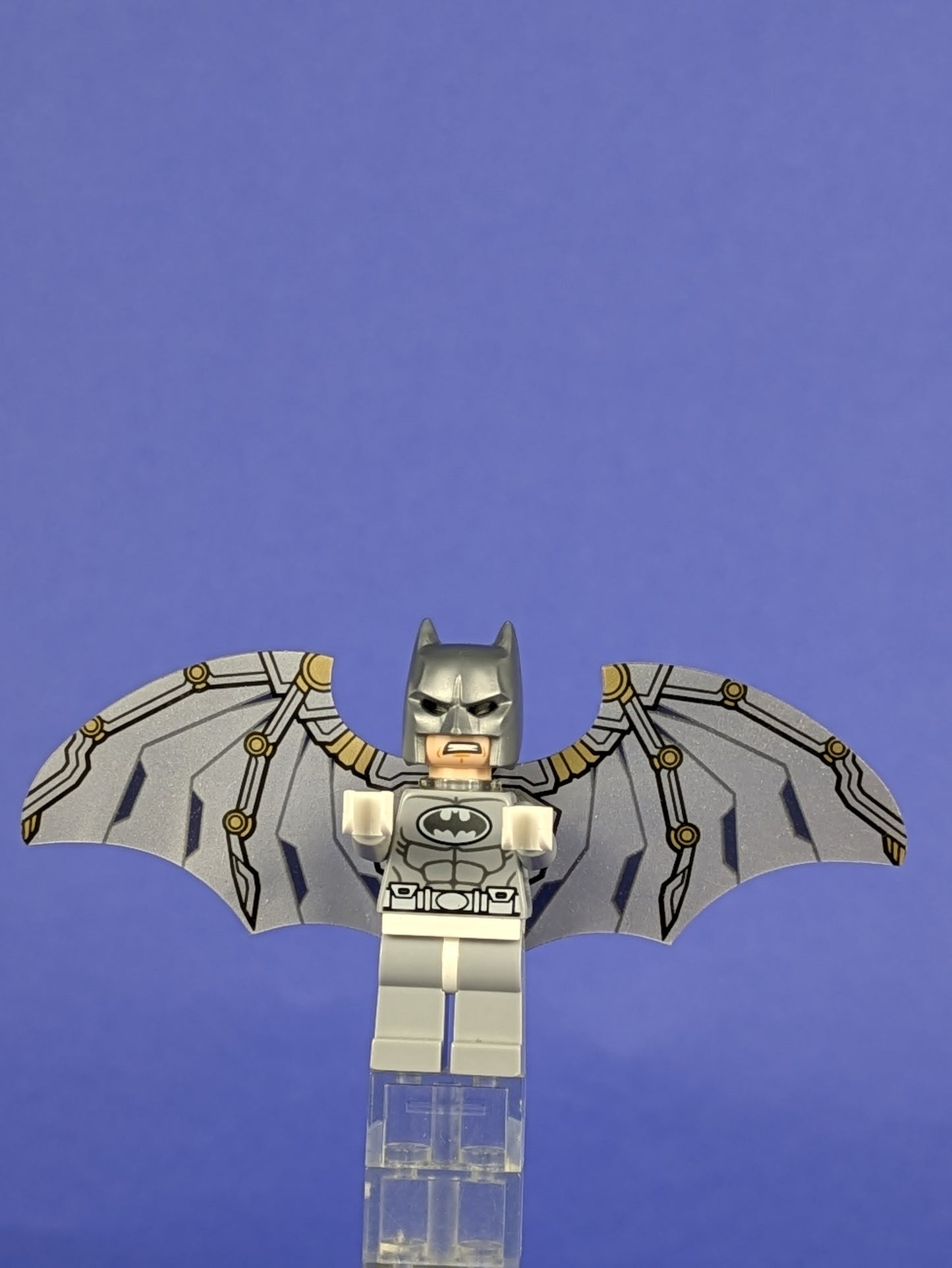 LEGO Super Heroes Arctic Batman sh0047 76000