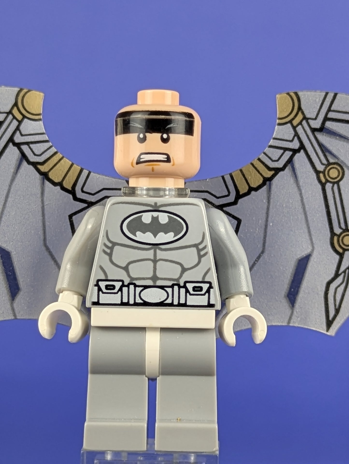 LEGO Super Heroes Arctic Batman sh0047 76000