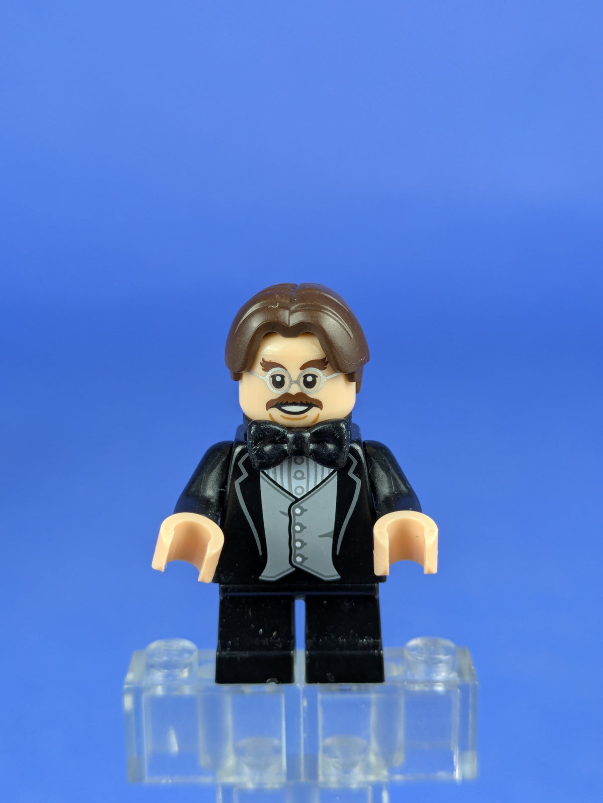 LEGO Collectible Minifigures Professor Filius Flitwick colhp13 71022 6213829