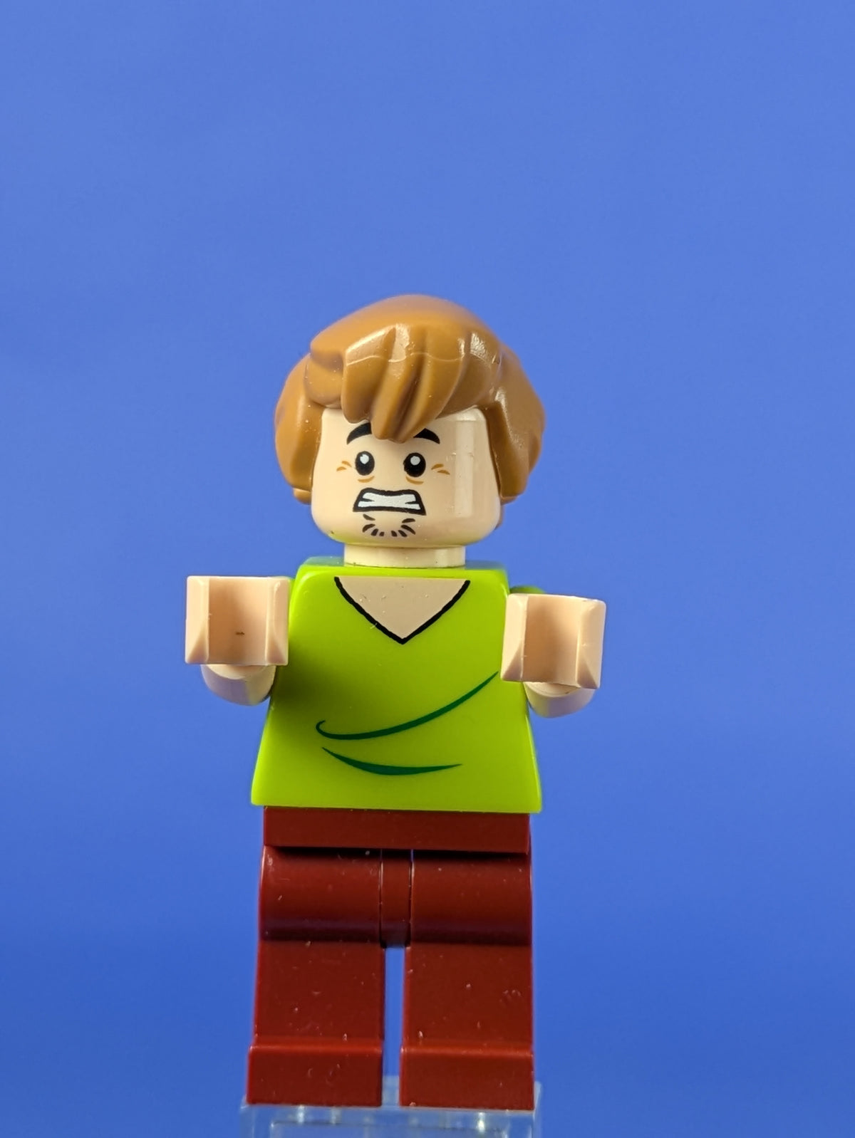 LEGO Scooby-Doo Shaggy Rogers - Closed Mouth scd001 75901 75900