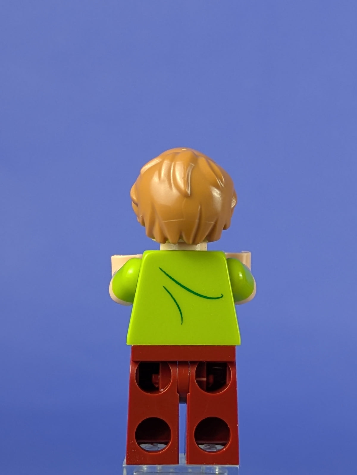 LEGO Scooby-Doo Shaggy Rogers - Closed Mouth scd001 75901 75900