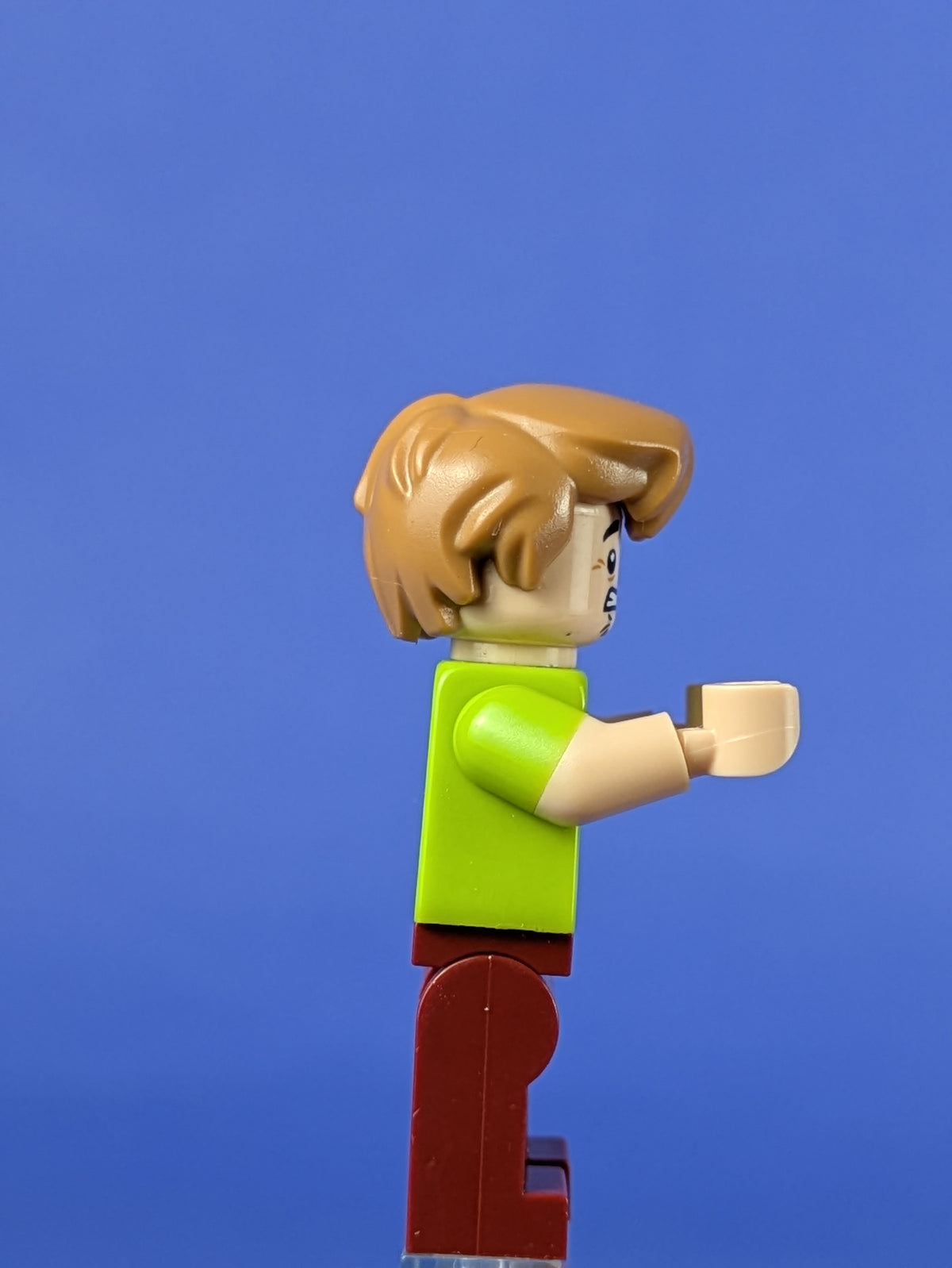 LEGO Scooby-Doo Shaggy Rogers - Closed Mouth scd001 75901 75900