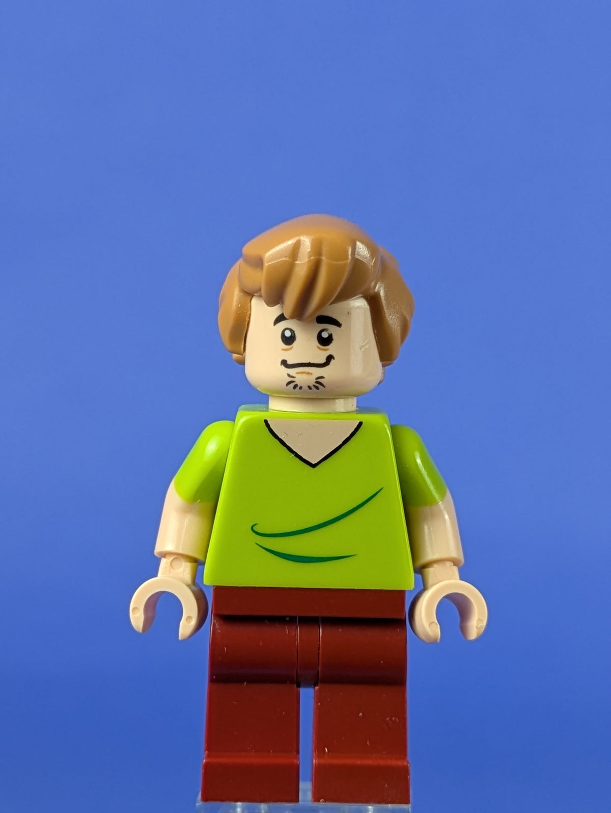 LEGO Scooby-Doo Shaggy Rogers - Closed Mouth scd001 75901 75900