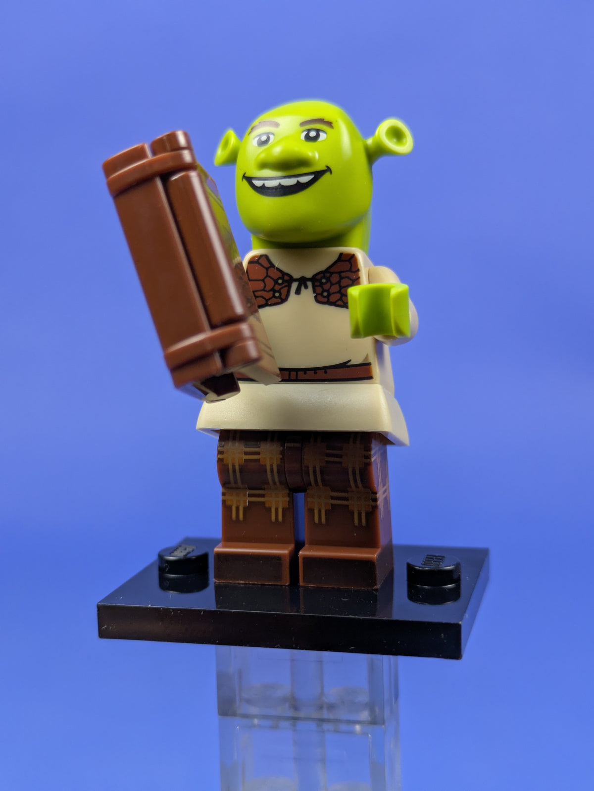 LEGO Collectible Minifigures Shrek colshr04 71053 66815