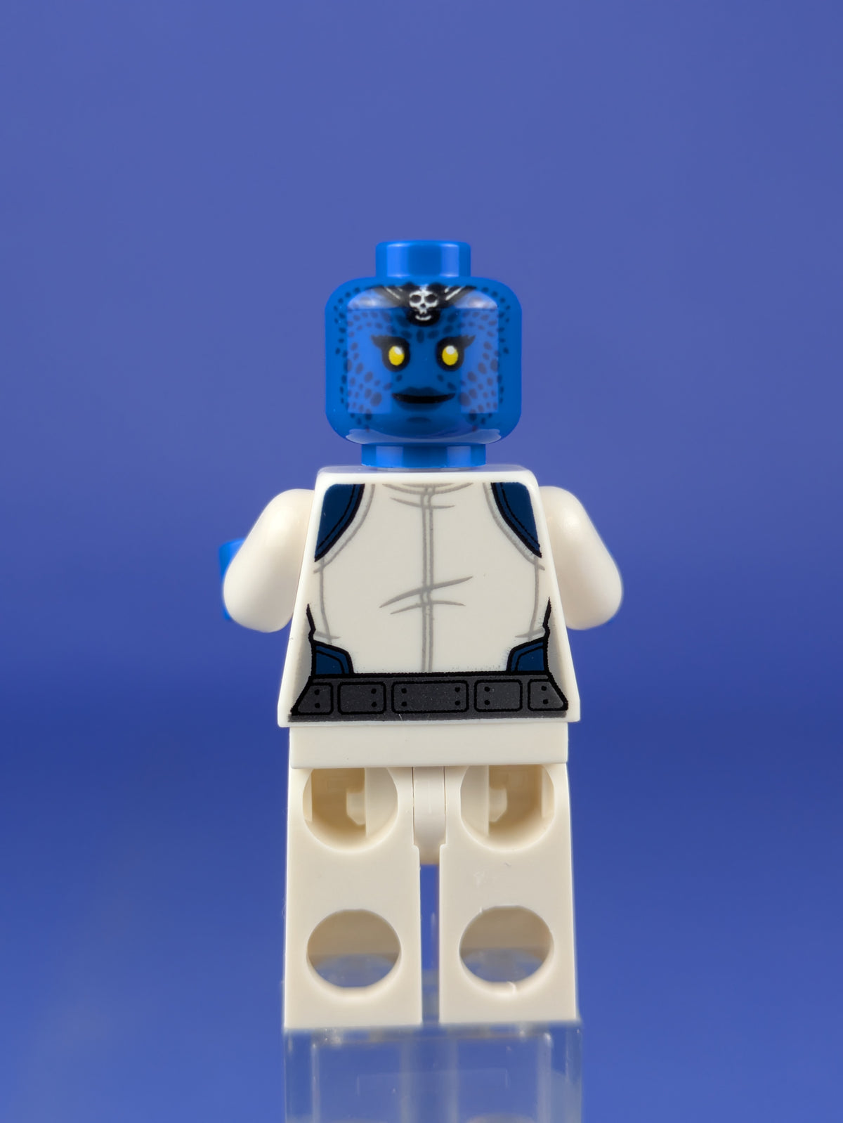 LEGO Super Heroes Mystique sh1169 76348